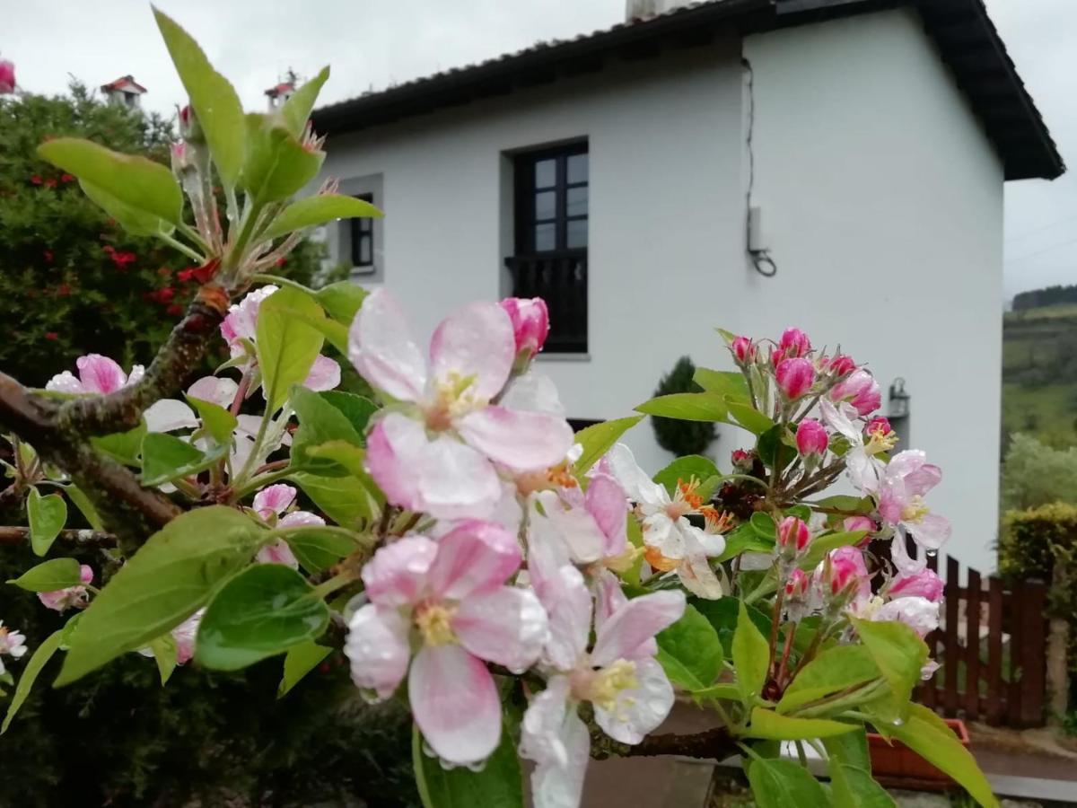 El Oteru I Guest House Villaviciosa  Exterior photo