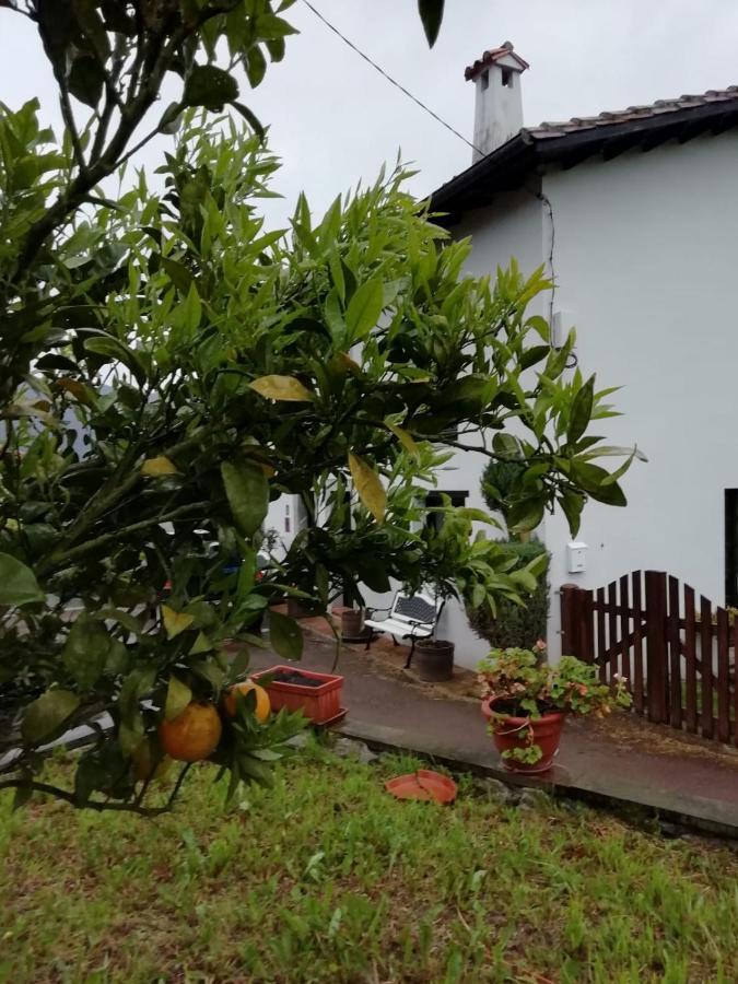 El Oteru I Guest House Villaviciosa  Exterior photo